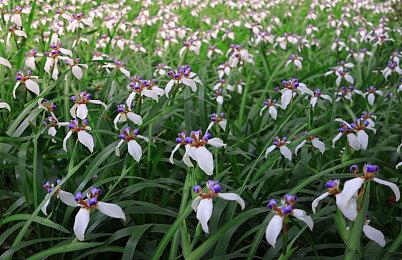 《地狱潜者2》发售日预告片公布 2＆8一起空降